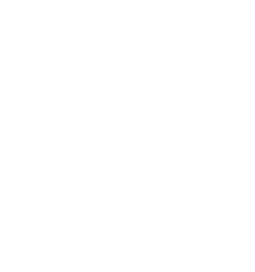 dmf-logo